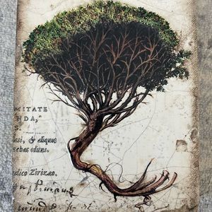 Sid Dickens T-388 knowledge